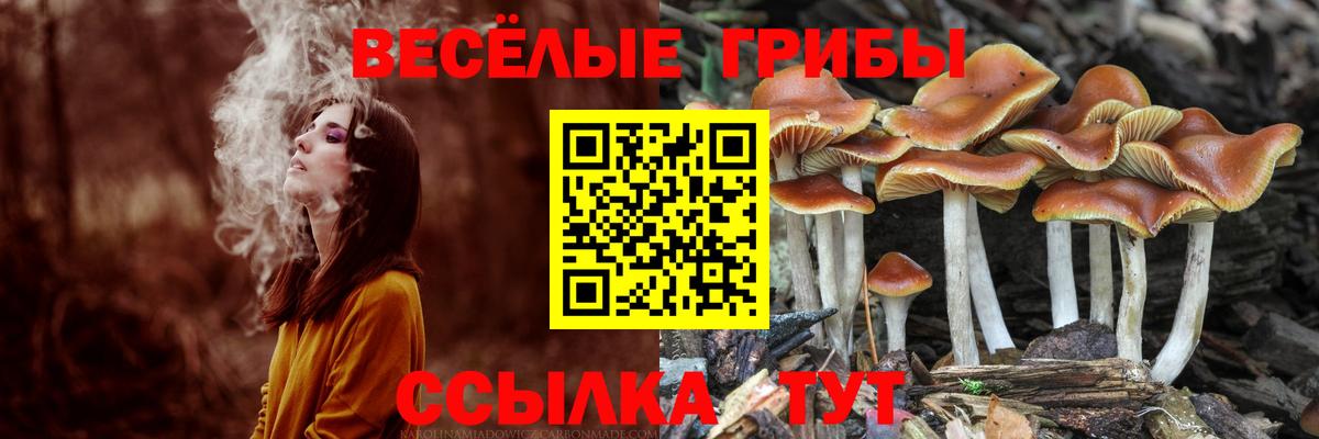 Псилоцибиновые грибы MAGIC MUSHROOMS  Галлюциногенные грибы MAGIC MUSHROOMS  Вход с VPN  Кропоткин 